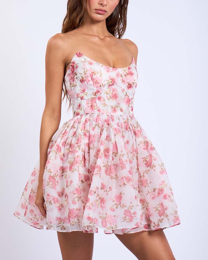 Floral Baby Doll Sheer Mini Dress